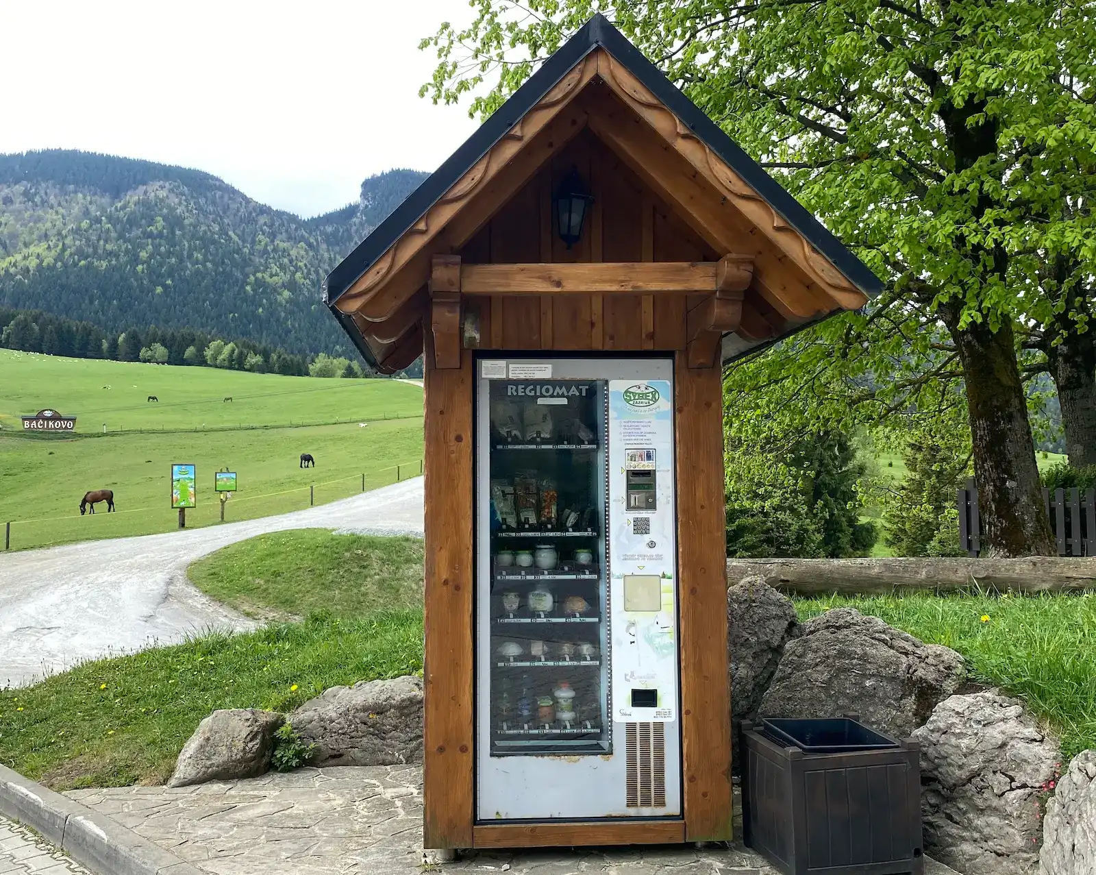 Automat se sýrovými výrobky přijímá pouze hotovost.