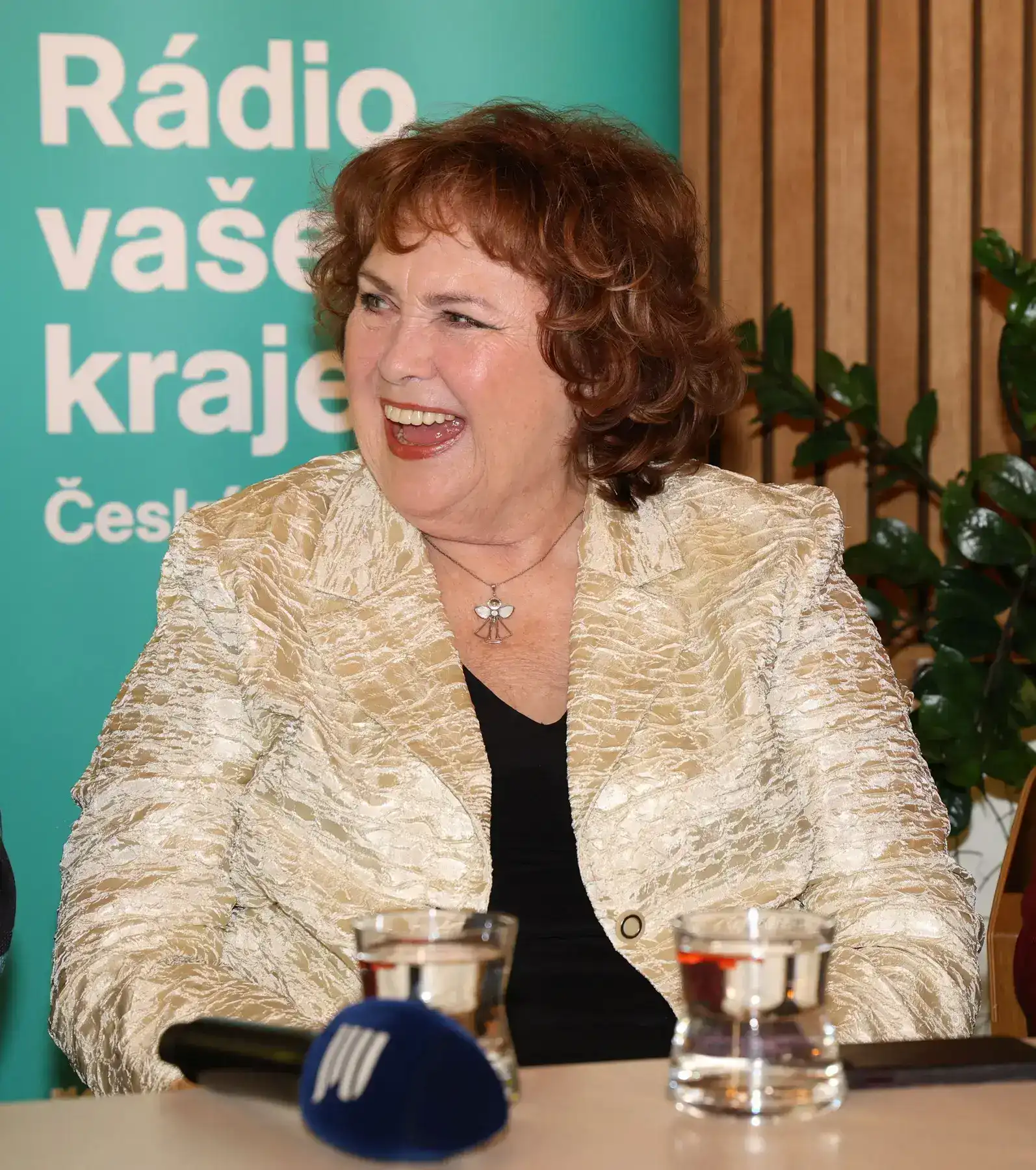 Naďa Konvalinková