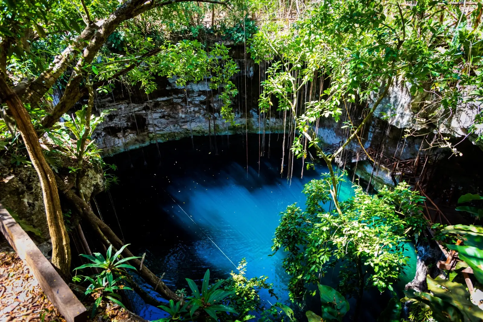Krasové závrty zvané cenotes jsou unikátní alternativou ke koupání na Yucatánském poloostrově. 