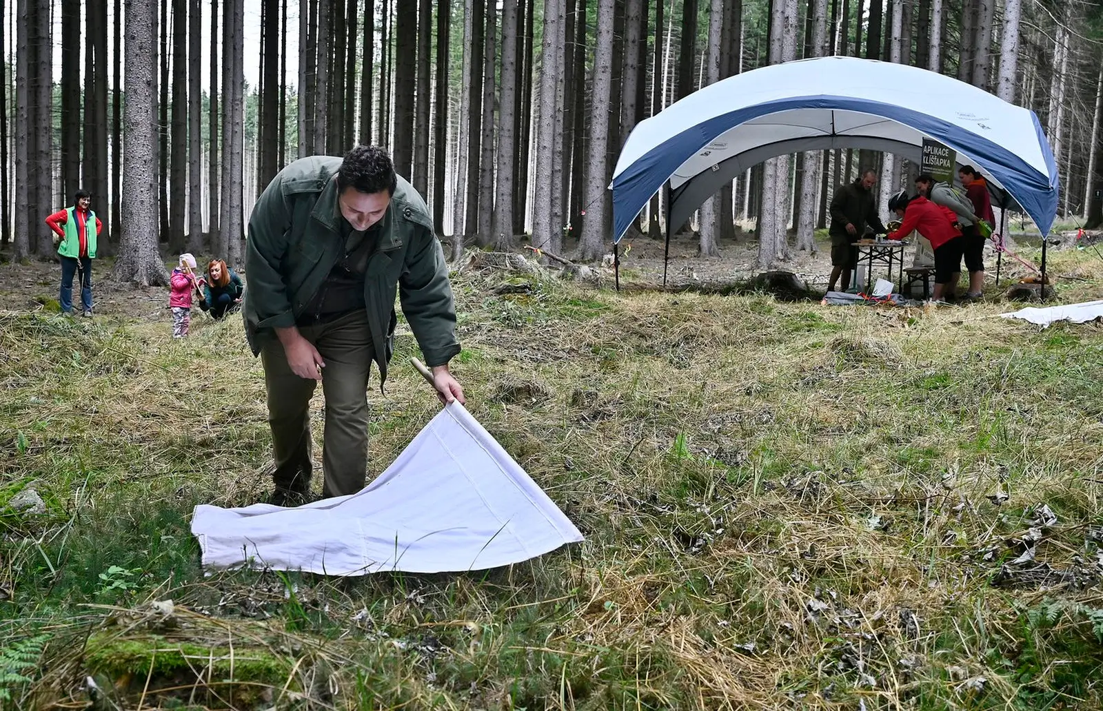 Kontrola klíšťat v lese.