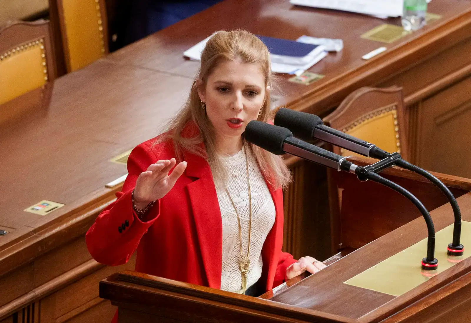 Poslankyně SPD Lucie Šafránková.