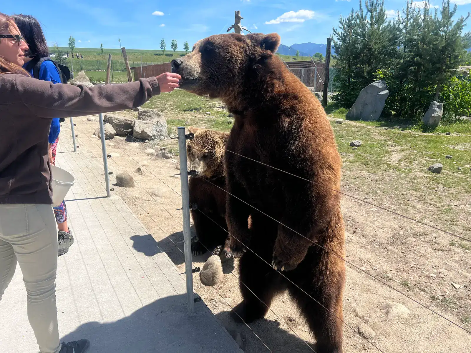 Kontaktní zoo potěší děti i dospělé.