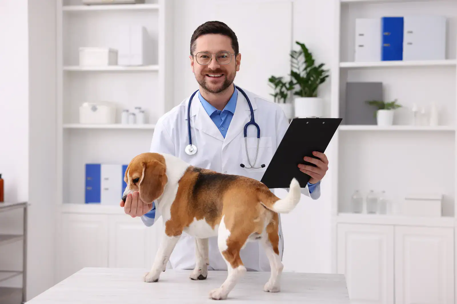 Nemocné zvíře by měl včas vidět veterinář.