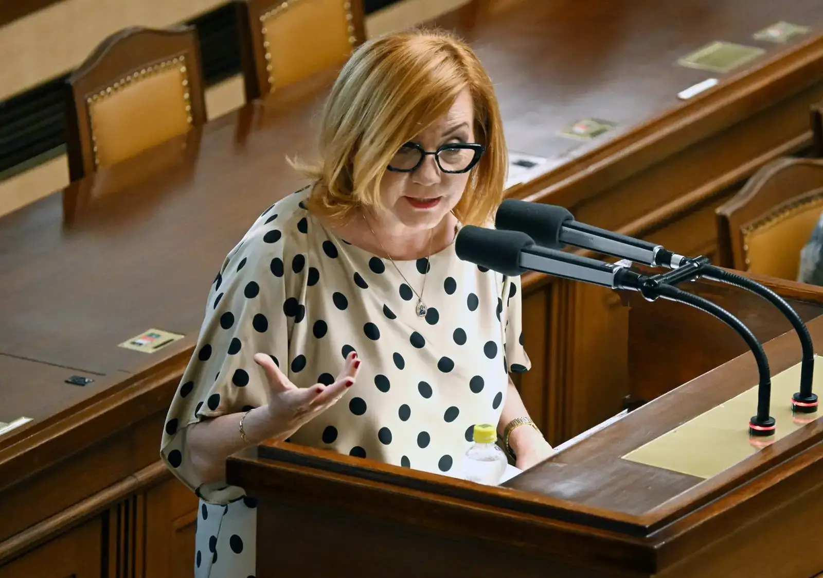 Ministryně financí Alena Schillerová při jednání Poslanecké sněmovny.