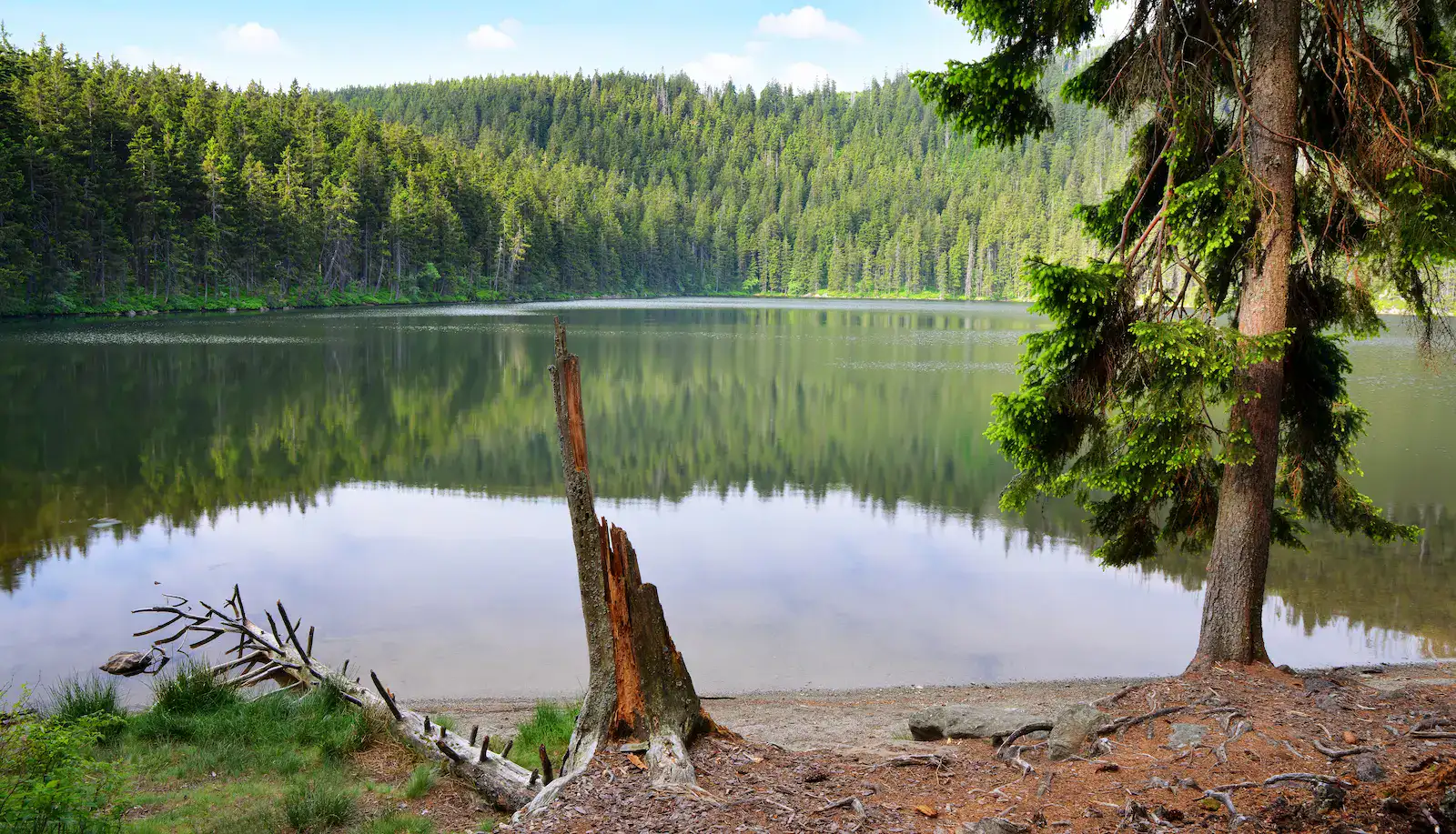 Čertovo jezero na Šumavě.