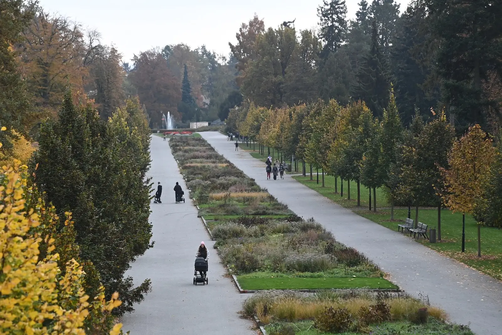 Rudolfova alej ve Smetanových sadech v Olomouci. 