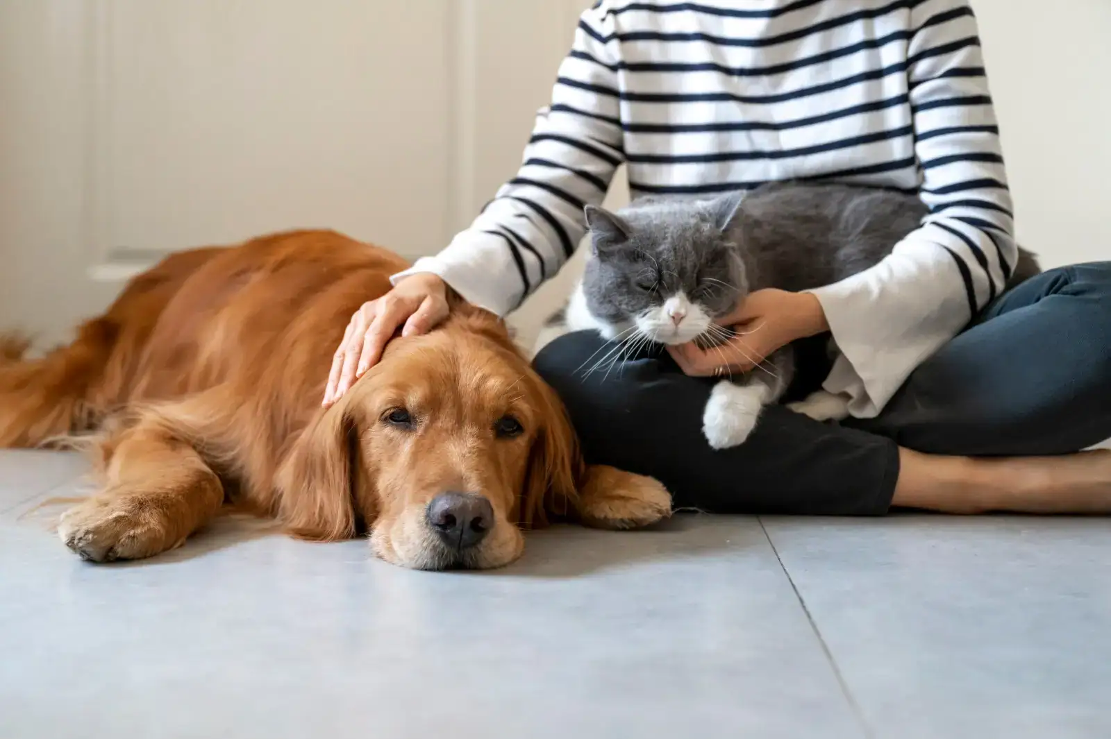 Žena si adoptovala psa a kočku