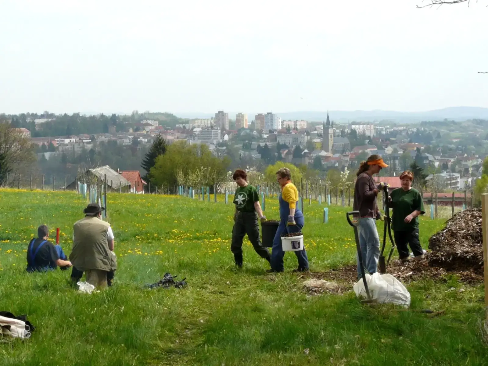Pracovníci v genovém sadu se starají o stromky.